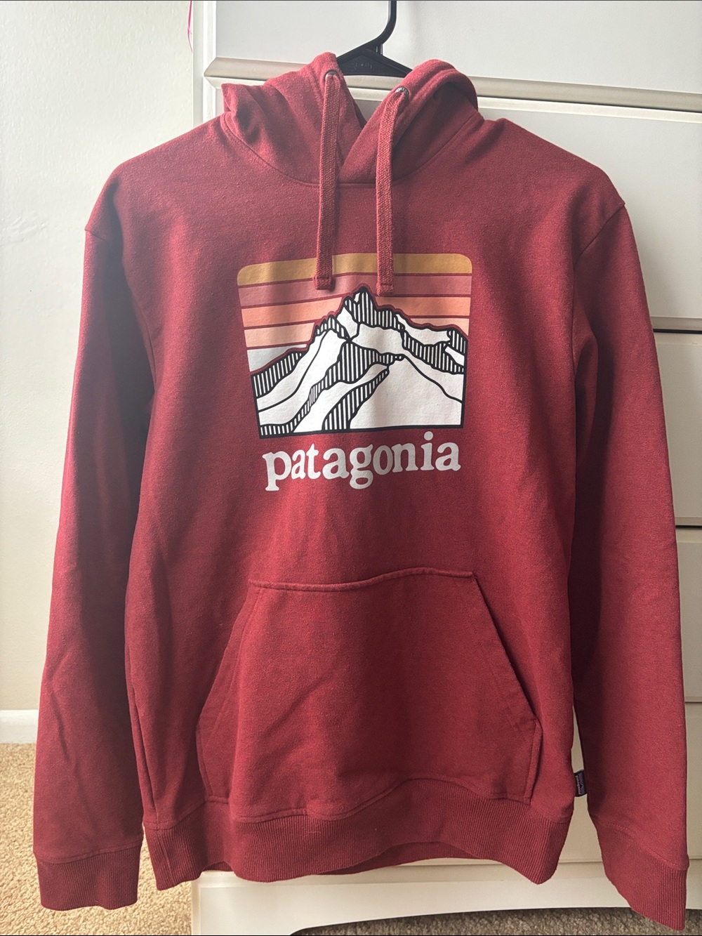 Patagonia Men's Brick Red Pullover Hoodie with Mountain Logo